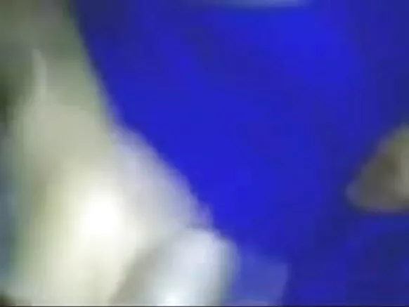 ભારતીય નાયિકા સેક્સી ફિલ્મ પત્ની.
