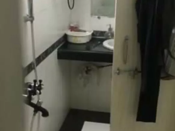 દેશી પિલ્લાડા સિન્ટ