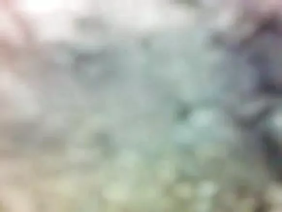 hidden animals sexy movie video બાથરૂમ છુપાયેલ બાથરૂમ