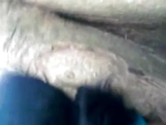 ઈન્ડિયા આંટી હિન્દી એચડી સેક્સી ફિલ્મ 1335