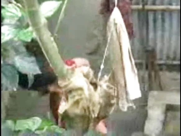 desi girl bathing desi outdoor sex movie video આઉટડોર